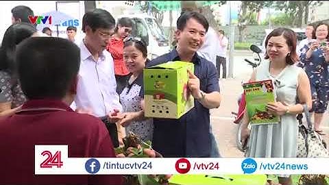 Truy xuất nguồn gốc QR code: Công cụ marketing hiệu quả mở rộng thị trường - Nhất Dương Sinh