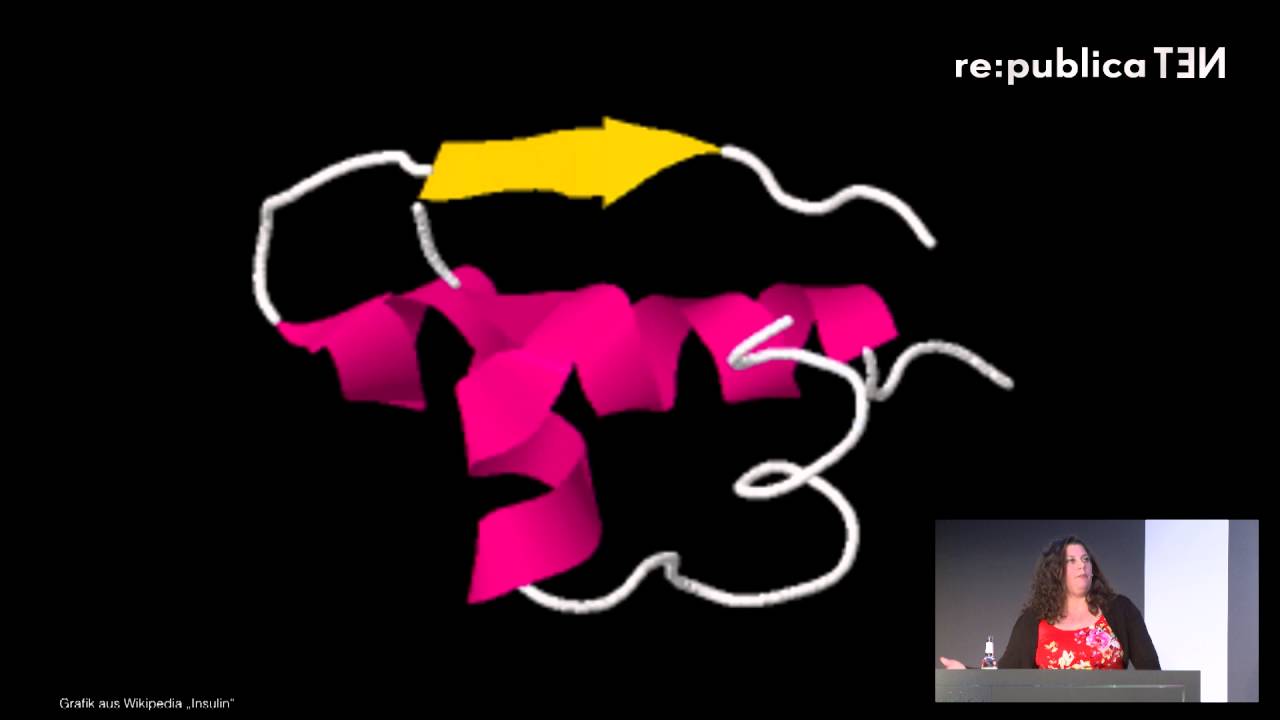 rp13095 re:publica 2016 – Journelle_: Das Internet hat mich dick gemacht!