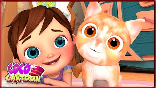 Kitty Cat Serenade - Nursery Rhymes &amp; Kids Songs By Coco Cartoon School Theater