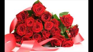 Valentine Roses Pictures
