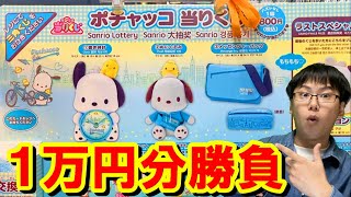 サンリオ くじ ポチャッコ 上位賞 大量 まとめ売り① バラ売り可‼️ ♪サンリオ 8月ポチャッコポムポムプリン当りくじ｜ローソン公式