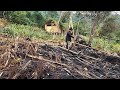 Land reclamation, farming and animal husbandry