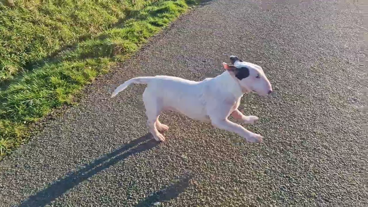 The 3 Amigos on the return journey