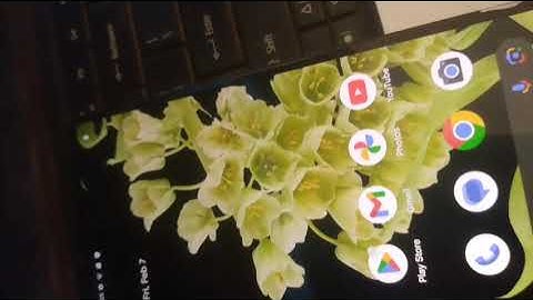 Pixel 6, 7,8,9 Android 15 sim card isn