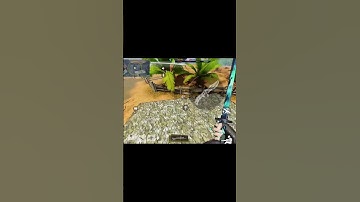 جامپ شات باشه #cod #codm #callofduty #codmobile #gaming #memes #edit #callofdutymobile