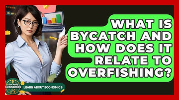 What Is Bycatch And How Does It Relate To Overfishing? - Learn About Economics