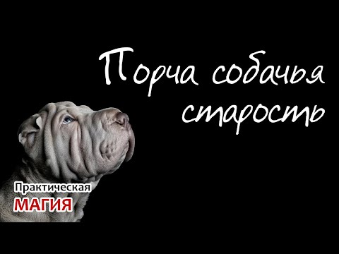 Порча "Собачья старость": подробности