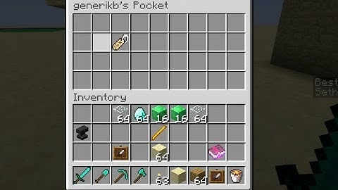 BlingPickpocket -- Minecraft Bukkit Plugin