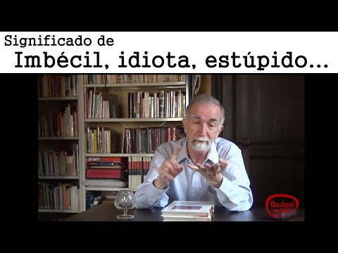 Video: ¿Estúpido puede ser un adjetivo?