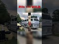 From Greyhound Bus to Dream RV Epic Transformation! #rvsgonewild