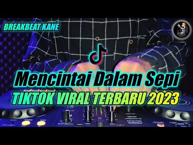 DJ MENEPI (MENCINTAI DALAM SEPI) REMIX SLOW BREAKBEAT TIKTOK VIRAL TERBARU 2023 class=