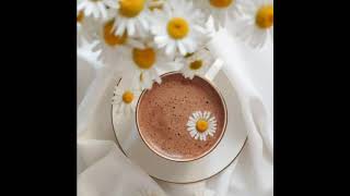 Эстетичные обои с ромашками screenshot 3