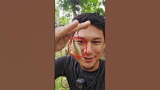 MANCING WADER ITU SUSAH😭