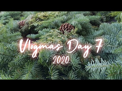 🦌Vlogmas Day 7: Watson's Reindeer & Sterino Farms🎄