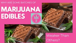 Why Are Some Batches of the Edibles Weaker Than Others?
