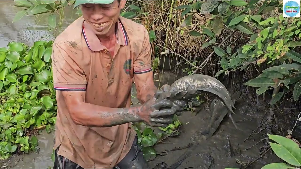 01 | Đầu năm tát ao bắt toàn cá khủng | Fish