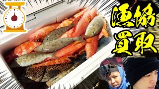 釣った魚を漁協価格で買い取ってもらったら意外過ぎる金額に…ビビる⁉【船代稼ぐまで帰れませんin阿嘉島遠征7話】