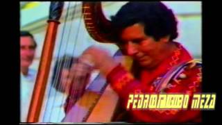 Video thumbnail of "Reynaldo Meza con el arpa de Rodolfo Ortiz, Colorado"