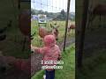 Please subscribe thank you for your kindness