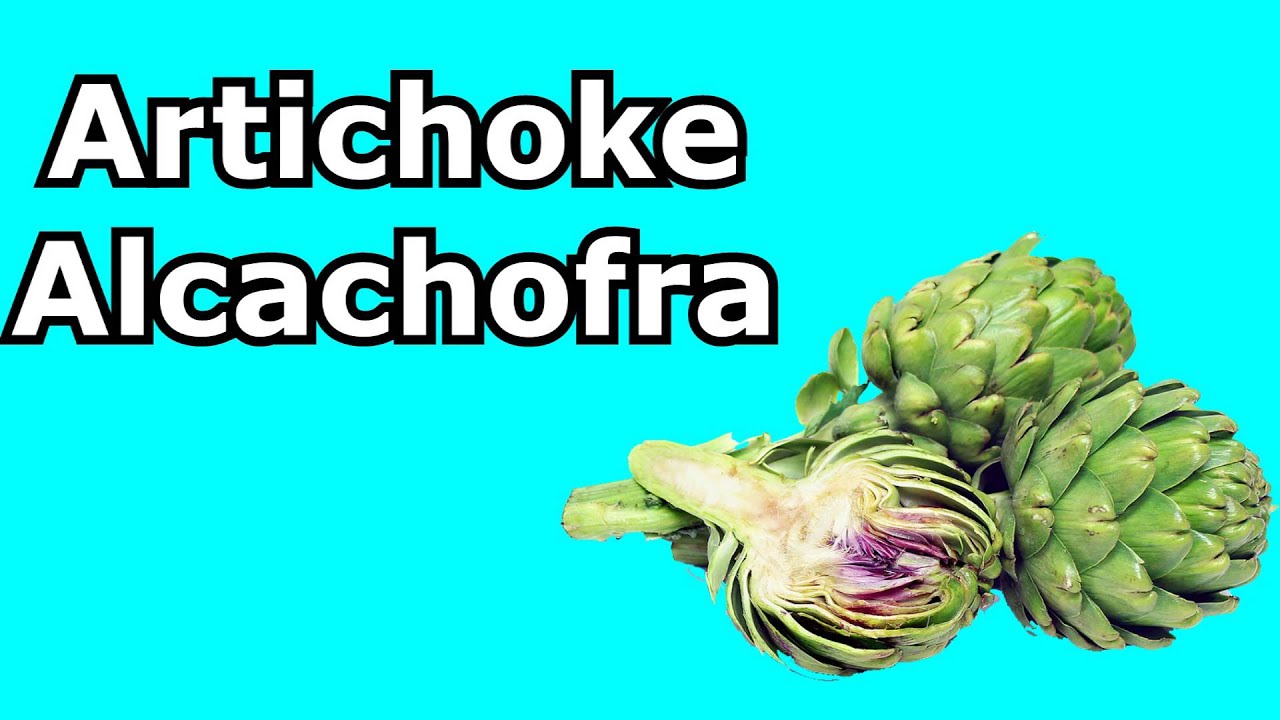 Names of vegetables in English & Portuguese YouTube