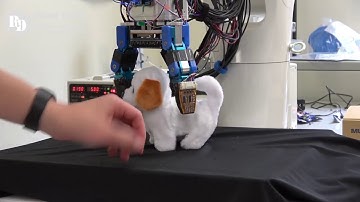 Unknown object tracking by using proximity sensors on the fingertips and palm (Object: dog toy)