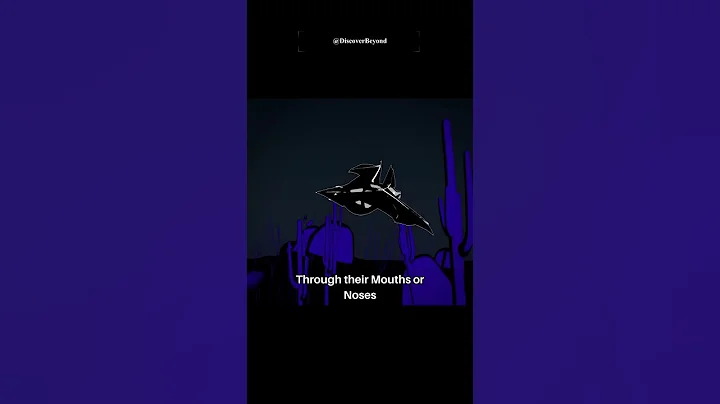 The Sonic Detectives: How Bats Find Their Way | #bats #nature #science #shorts #facts