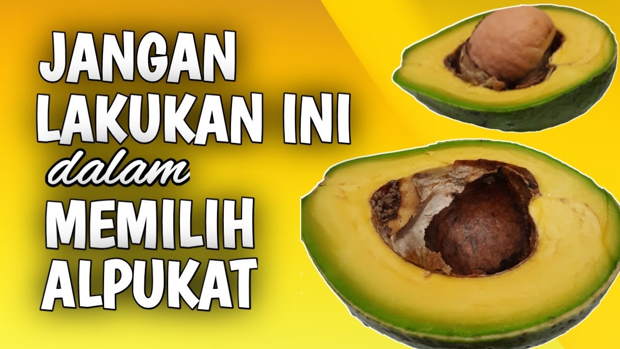Memilih Alpukat, Sebaiknya Hindari 7 Kesalahan Ini - Konsumen Wajib Tahu Agar tak Rugi