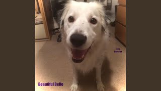 Beautiful Belle