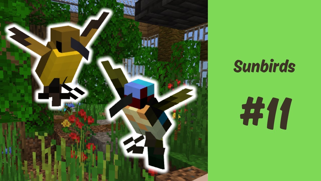 SUNBIRDS! Jungle Conservation Park Build Series! Episode 11!