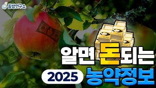 알기만해도 돈되는 정보ㅣ돈버는 농업정보 ㅣ 농약 정보