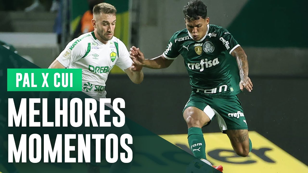 Palmeiras hendecacampeão: relembre todos os jogos e gols da campanha do  título brasileiro