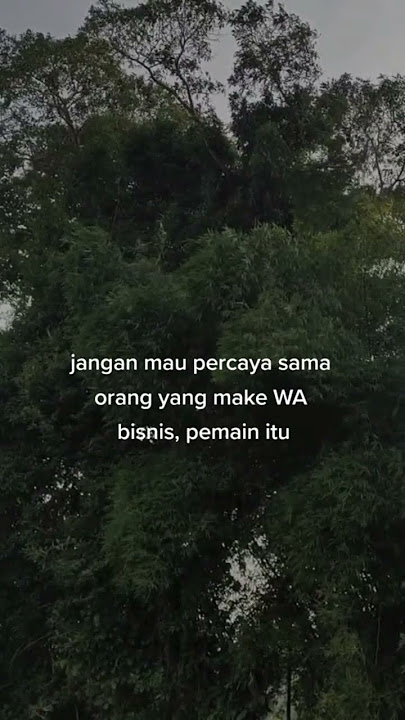 STORY WHATSAPP JANGAN PERNAH PERCAYA PADA PENGGUNA WA BISNIS #fyp #foryou