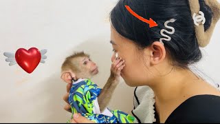 Mom was touched by the monkey Diana bought her a hairpin