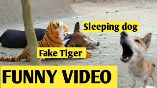Try_to_not_laugh_chalenge 2021_Fake_Tiger_Prank_Dog_So_Funny_Prank_in_india|| Fun Prank 4 || Fp4u