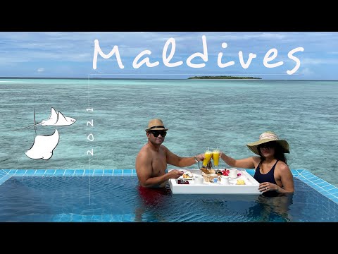 Maldives | Dhigufaru Island Resort | March 2021