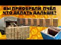 КУПИЛ ПЧЕЛОПАКЕТ! ЧТО ДАЛЬШЕ?