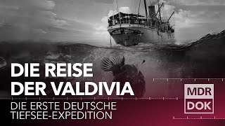 Die historische Reise der Valdivia - Erstmalige Tiefsee-Expedition aus Deutschland
