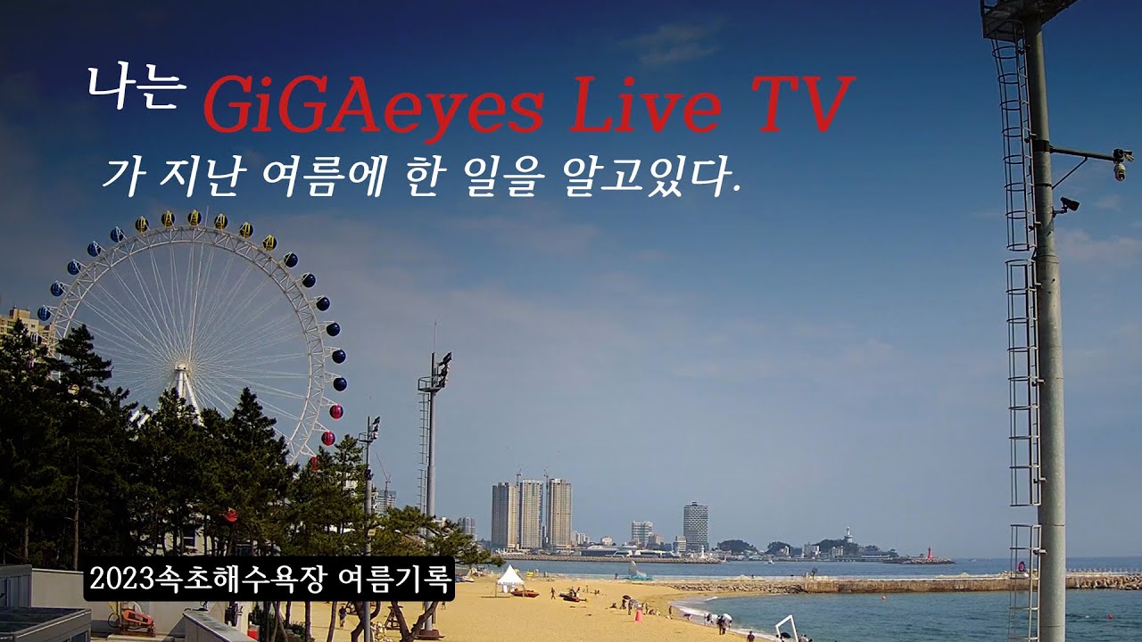 언제나 청쾌한 여름을 품은 속초해수욕장 🌊⛱️