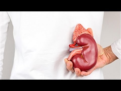 Wideo: Zespół Hermansky'ego-Pudlaka Typu 2 Objawia Się Zwłóknieniem Płuc We Wczesnym Dzieciństwie