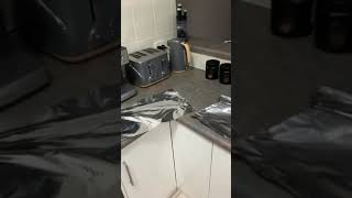 Guy Lays Tin Foil on Kitchen Counter to Stop Cat From Jumping on it  1107758