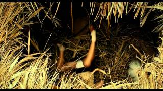 Пять невест (2011) HD Russian Trailer Пять невест (2011) HD Russian Trailer