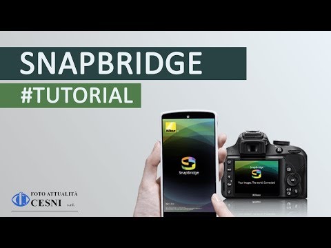 Video: ¿SnapBridge funciona con d5500?