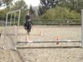 CHLOE Et SIMBA SAUT CHLOE Et SIMBA SAUT