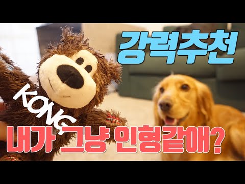 강아지 장난감 강력추천/다뜯는 코카스파니엘이 만족한 콩(KONG) 장난감