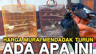 ADA APA INI ‼️ HARGA MURAI MENDADAK TURUN GILA-GILAAN! Pasar Pantura