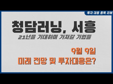   청담러닝 서흥 앞으로의 전망과 투자 대응은 아힘다 투자 대응 종목 리뷰