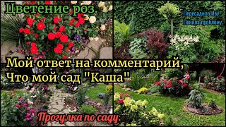 Прогулка по саду. Обзор роз. Ответ на комментарий, что мой сад \