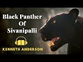Black panther of sivanipalli by kenneth anderson  adventure audiobook  audiostory