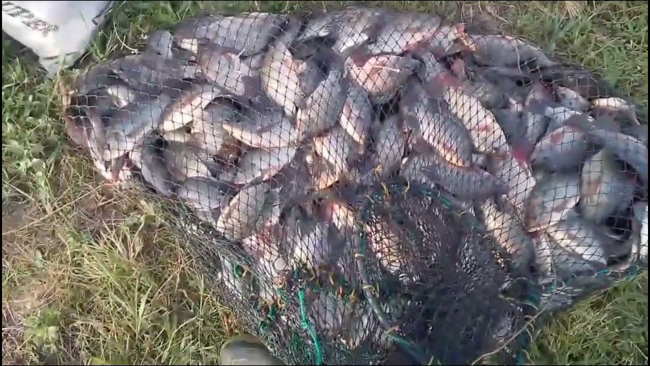 @hsl perdana klm wak sendok Yudi sawit buka ke2 tgl.07.03.2026 Tm jm 10 mlm tkt Rp.120