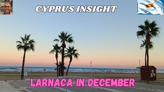 Unveiling the enchanting beauty of Larnaca Cyprus in December.